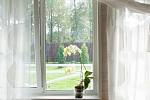     VEKA Softline 70 ,  ,  Roto Swing, 2-   X-ONE MULTI. -,  -, . 